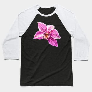 Cymbidium Orchid Pink Flower 1 Baseball T-Shirt